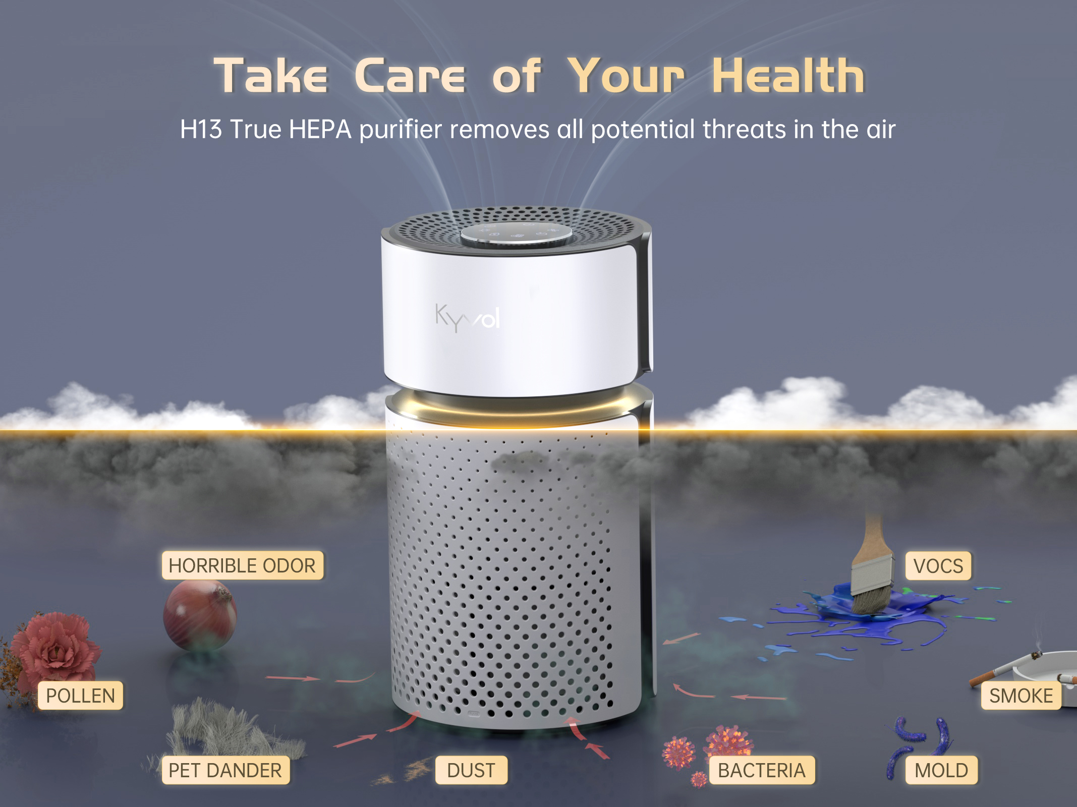 P5 (White) Air Purifier 封面图